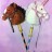 “Princess and Comanche” for Molly